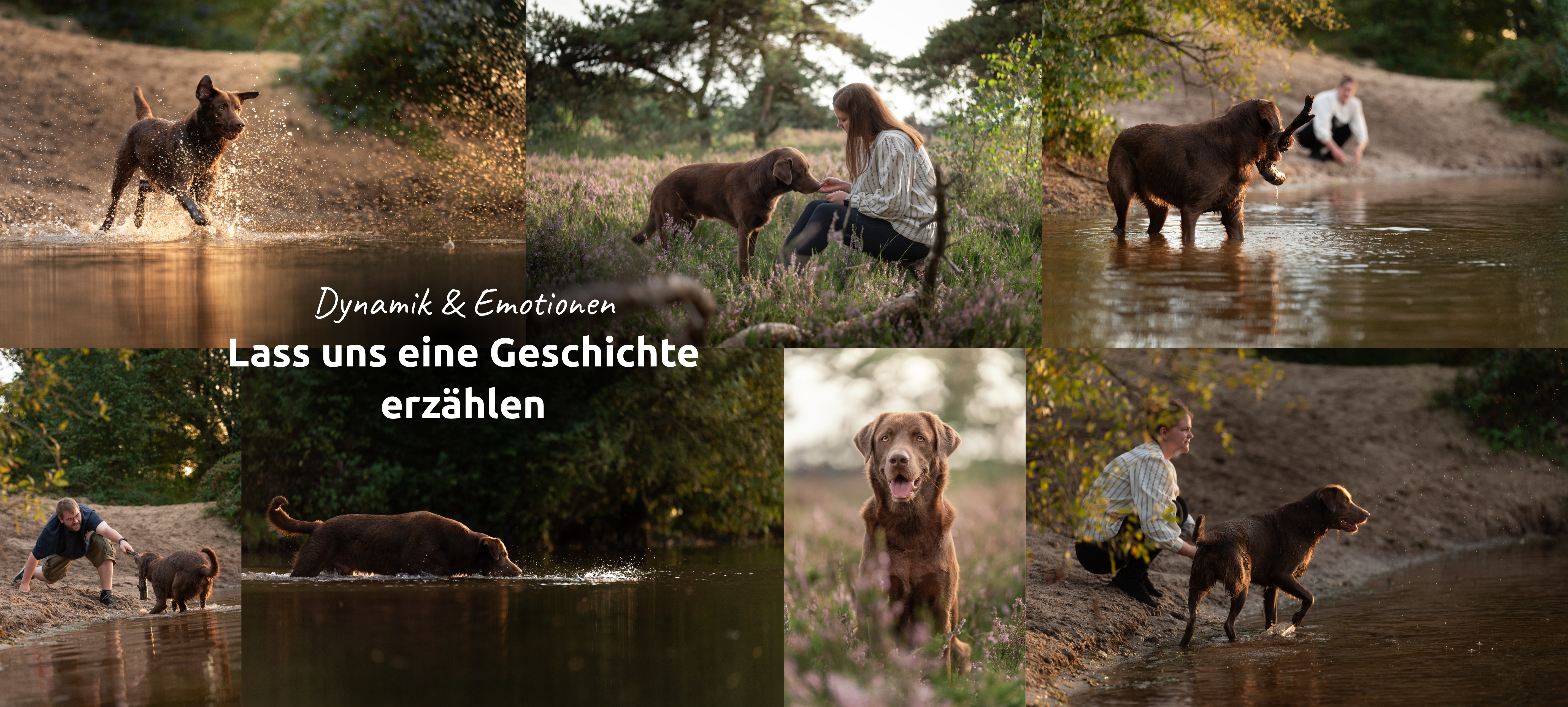 Lass uns eure Geschichte erzählen