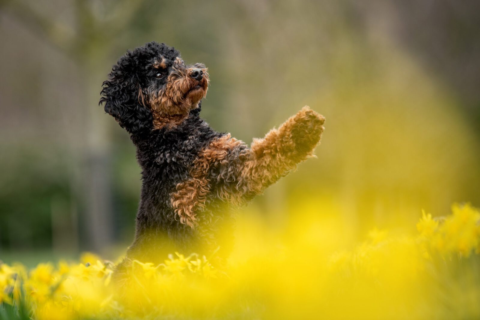 Buche jetzt Dein individuelles Shooting!